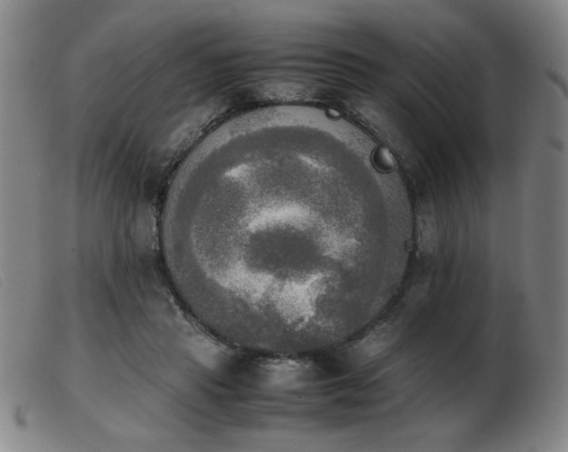 X0000103900453200809191242