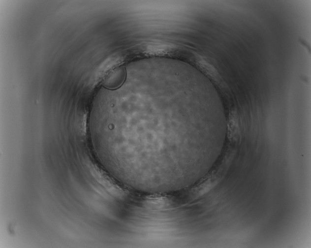 X0000103900454200809191242