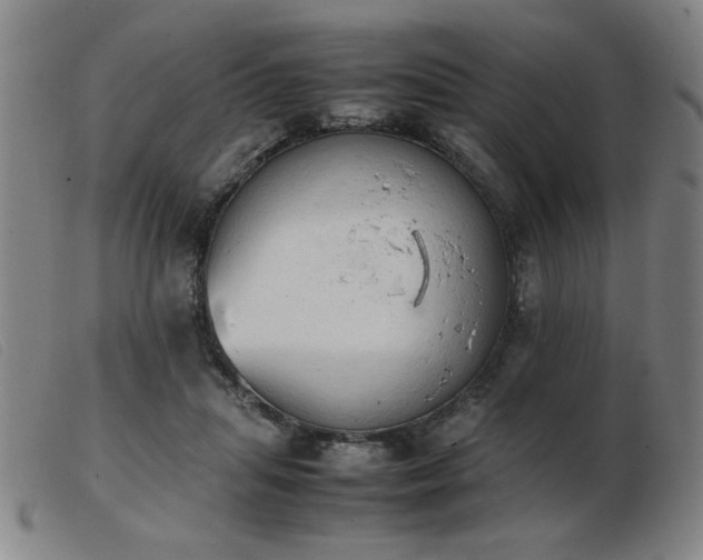 X0000103900455200809191242