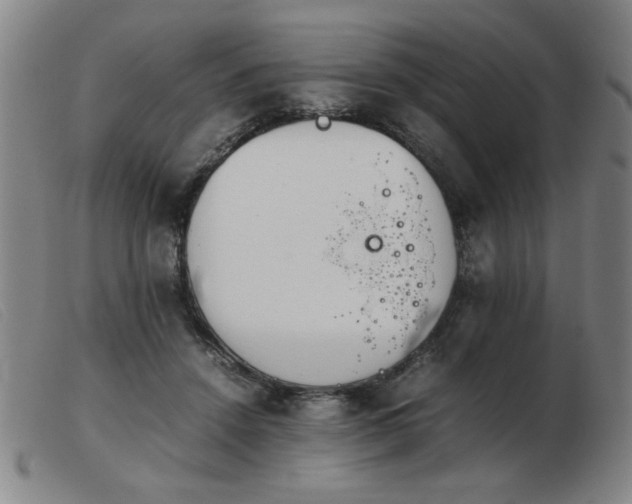 X0000103900456200809191242