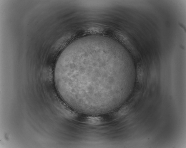 X0000103900457200809191242