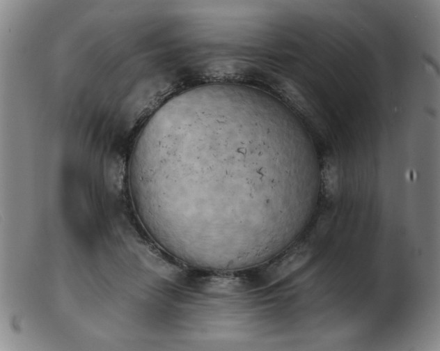 X0000103900458200809191242