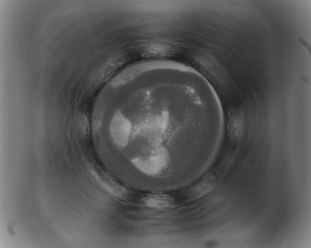 X0000103900459200809191242