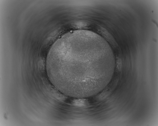 X0000103900461200809191242