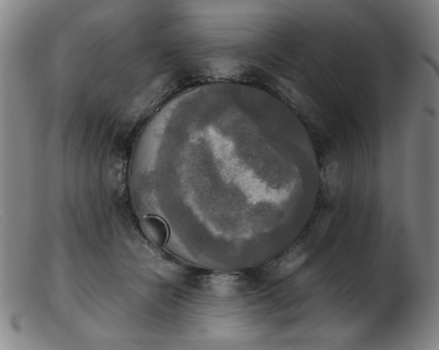 X0000103900462200809191242