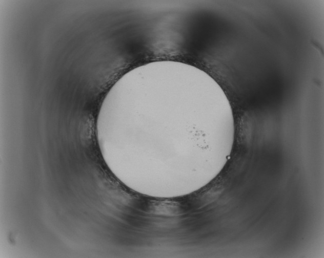 X0000103900463200809191242