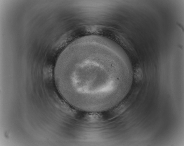 X0000103900466200809191242