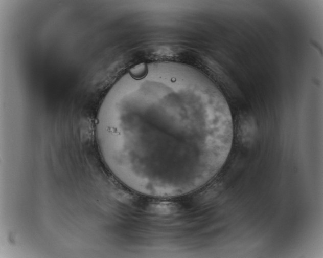 X0000103900467200809191242