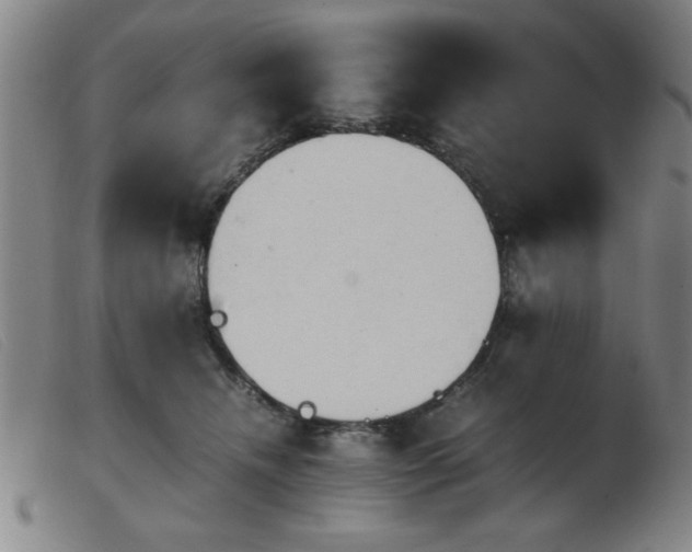 X0000103900468200809191242