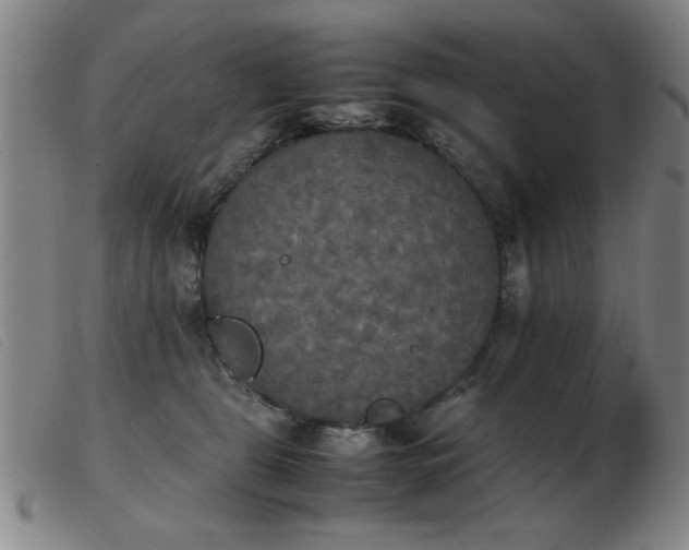 X0000103900469200809191242
