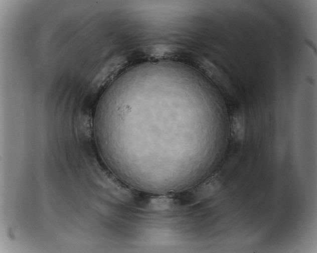 X0000103900470200809191242