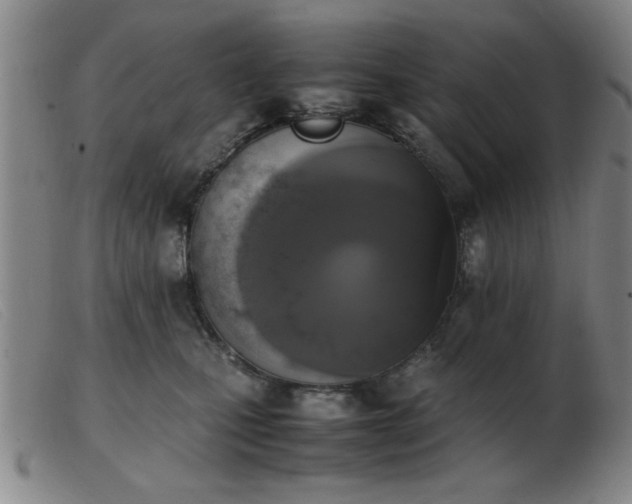 X0000103900471200809191242