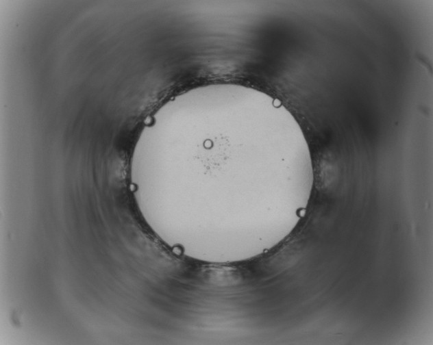 X0000103900472200809191243