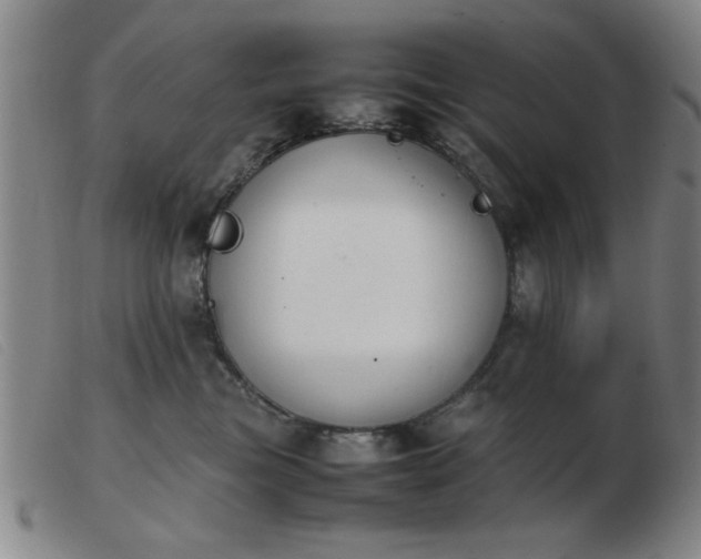 X0000103900473200809191243