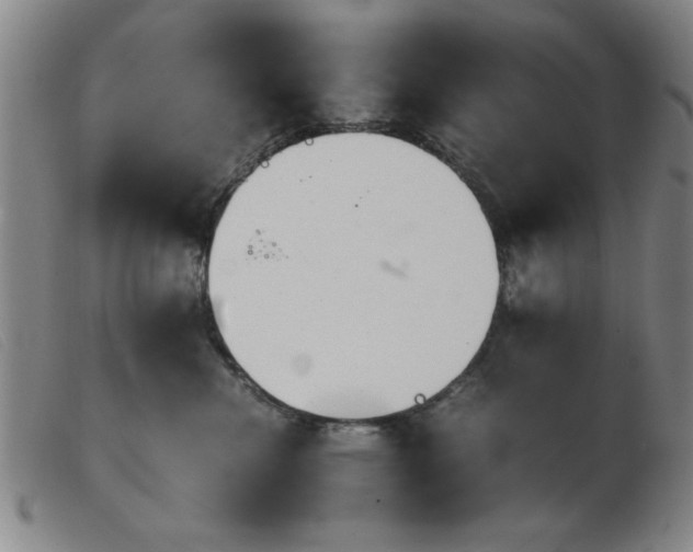 X0000103900476200809191243