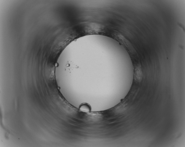 X0000103900477200809191243