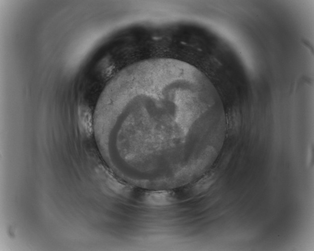X0000103900479200809191243