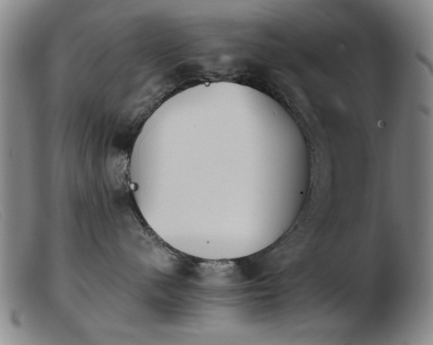 X0000103900480200809191243