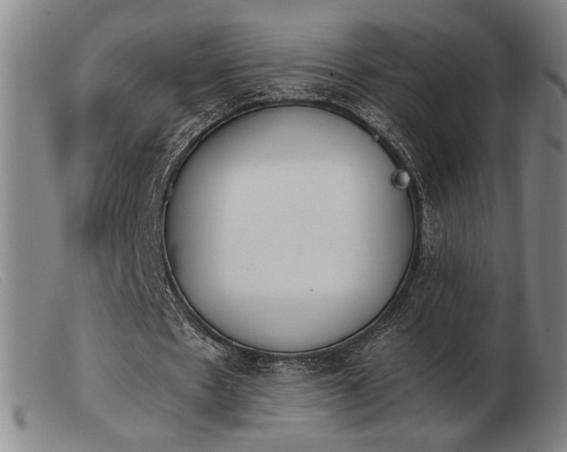 X0000103900481200809191242