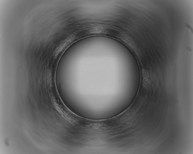 X0000103900482200809191242