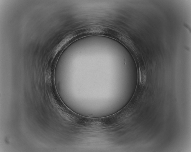 X0000103900483200809191242