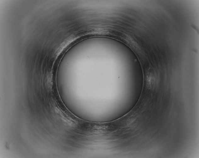 X0000103900484200809191242