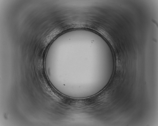 X0000103900485200809191242