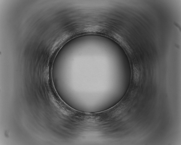 X0000103900486200809191242