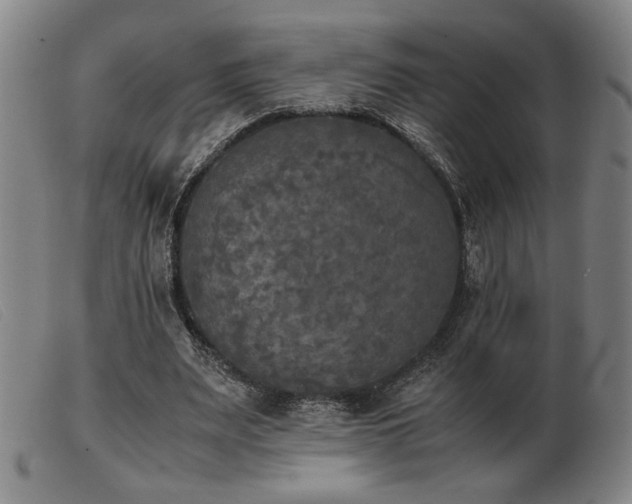 X0000103900487200809191242