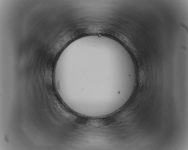X0000103900489200809191242
