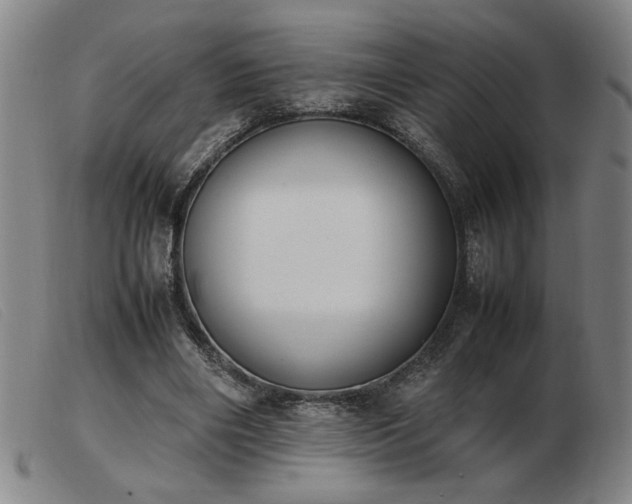 X0000103900490200809191242