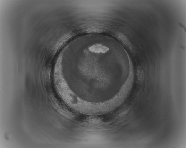 X0000103900491200809191242