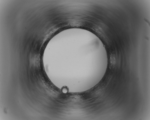 X0000103900492200809191242