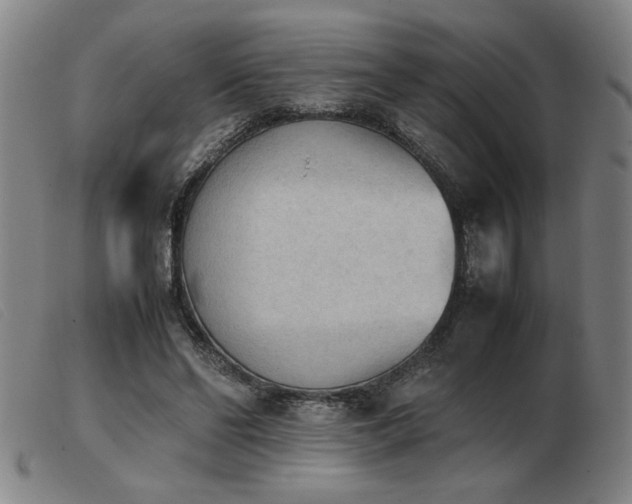 X0000103900494200809191242