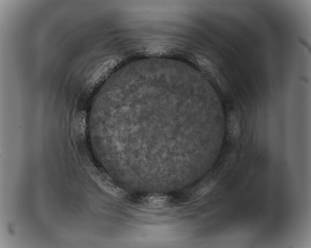 X0000103900495200809191242
