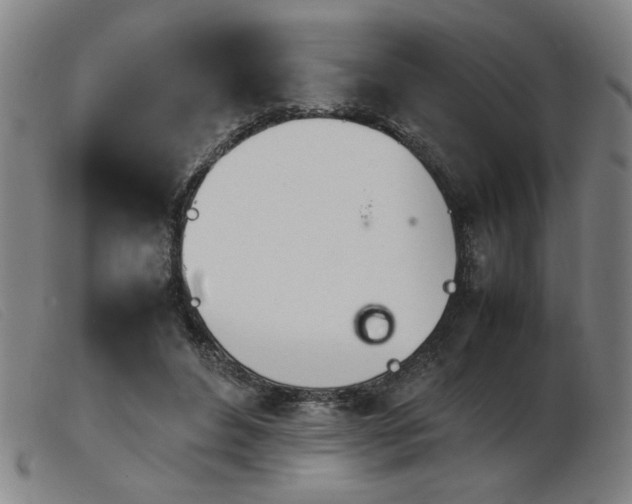 X0000103900496200809191242