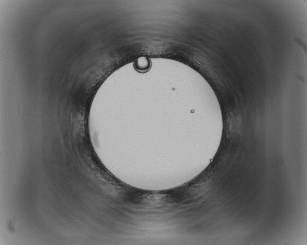 X0000103900497200809191242