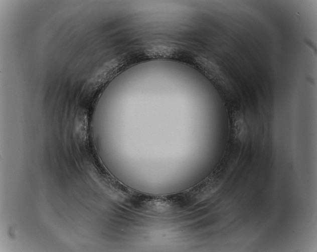 X0000103900498200809191242
