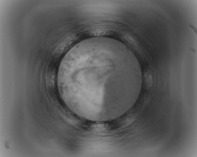 X0000103900499200809191242
