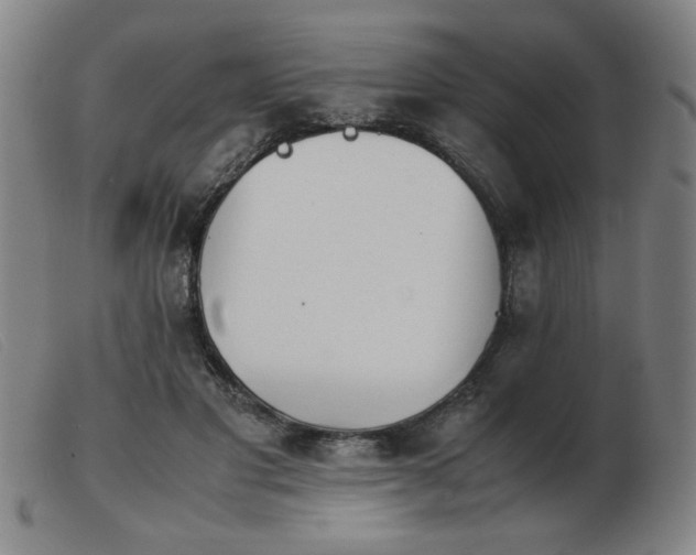 X0000103900501200809191242