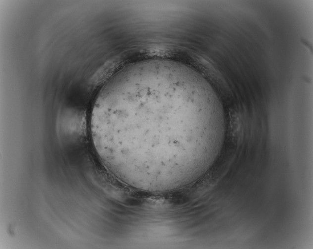 X0000103900502200809191241