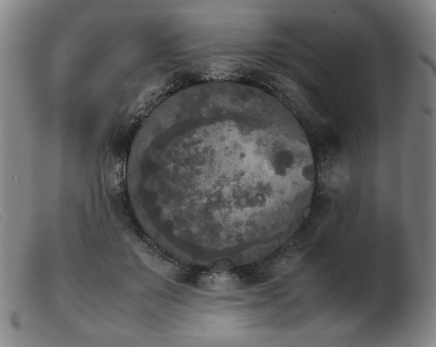 X0000103900503200809191241