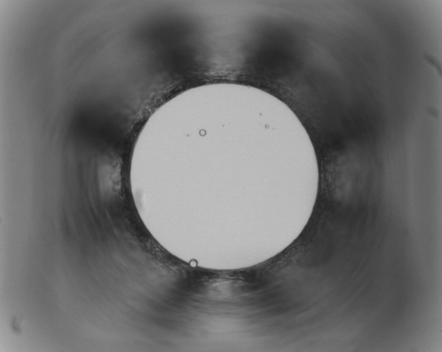 X0000103900504200809191241