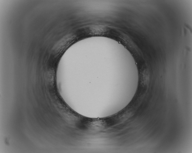 X0000103900505200809191241