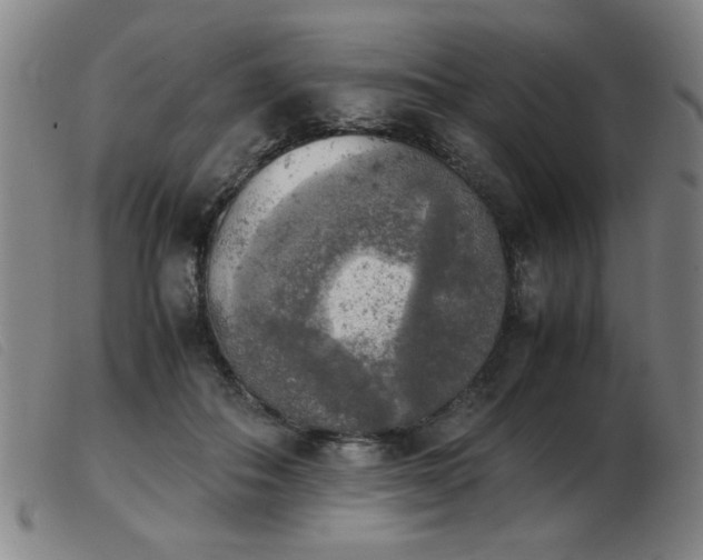 X0000103900506200809191241