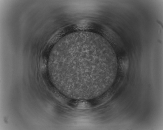 X0000103900507200809191241