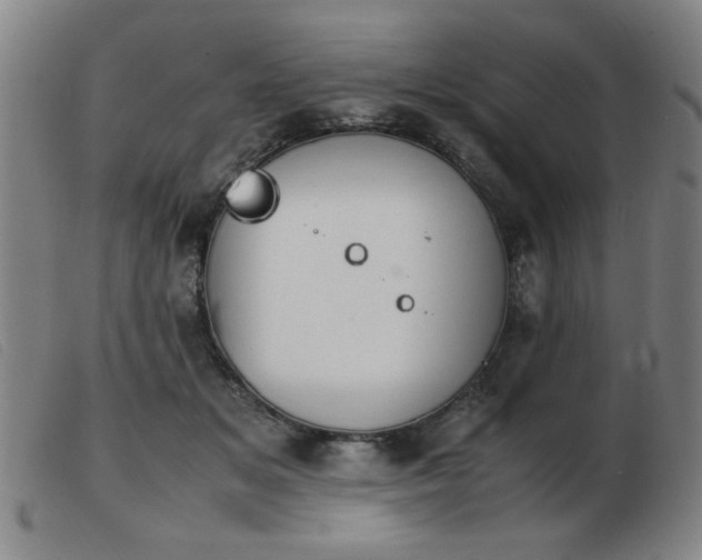 X0000103900509200809191241