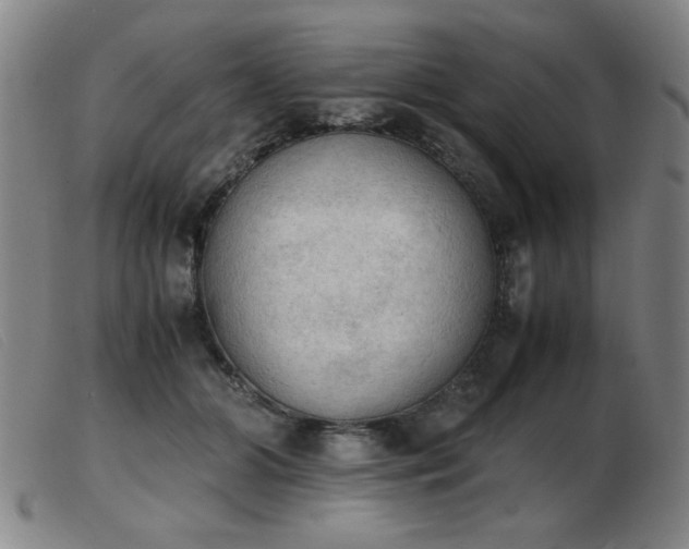X0000103900510200809191241