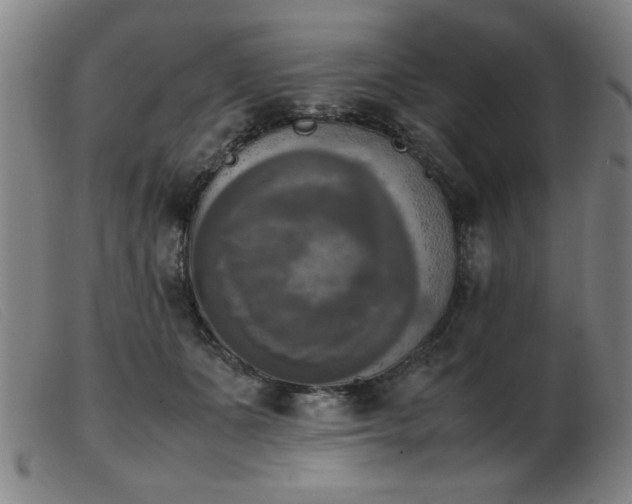 X0000103900511200809191241