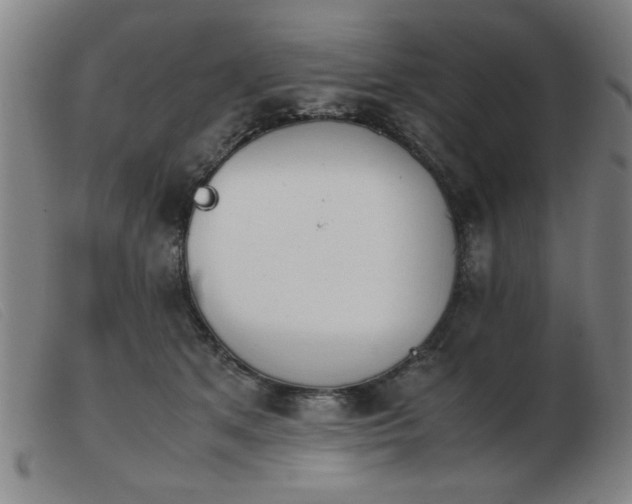 X0000103900513200809191241